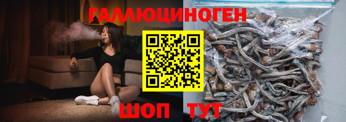 Галлюциногенные грибы ЛСД  Брянск  Псилоцибиновые грибы ЛСД 