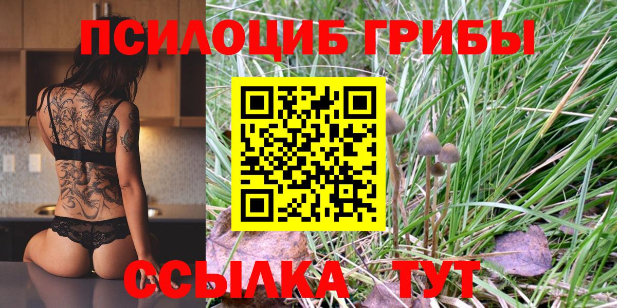 Псилоцибиновые грибы Cubensis Брянск